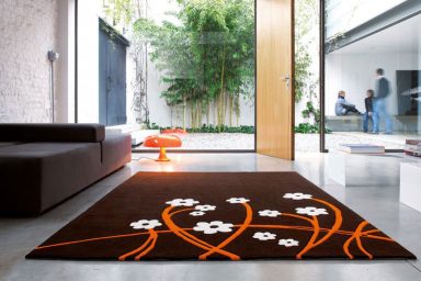 Contemporary Brown with Flowers Rugs from Dhesja