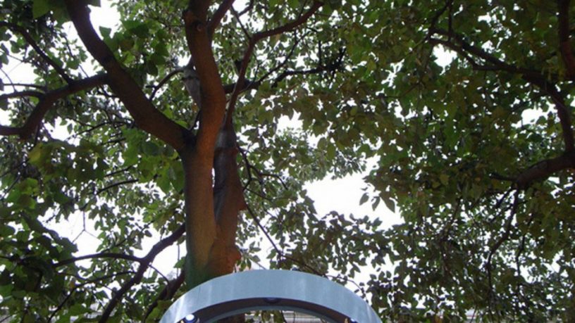 Lampposts Circular Shape