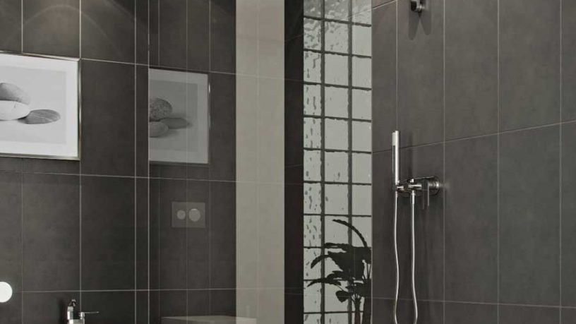 Bathroom Simple and Modern Style Glass Shower Stall