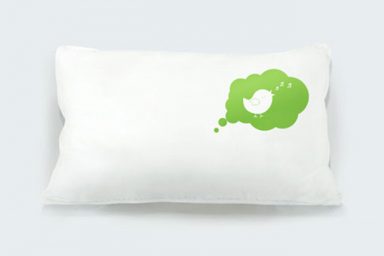 Fancy Pillow Design with Green Bird Picture