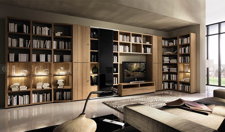 Living Room with Big Bookcase Design Ideas