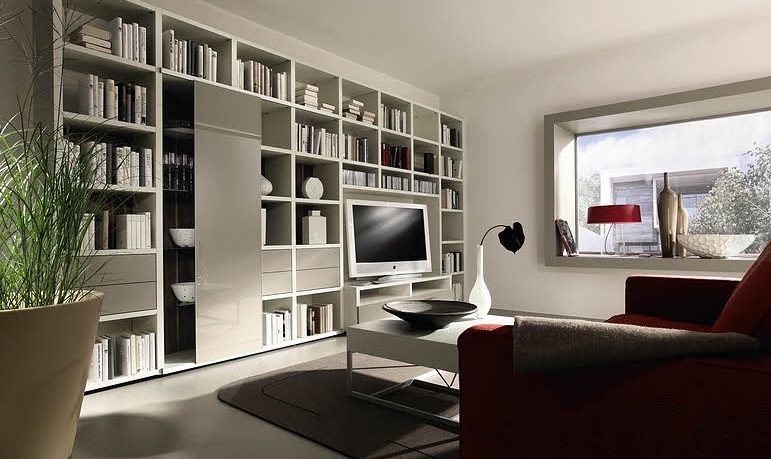 Living Room with White Bookcase Design Ideas