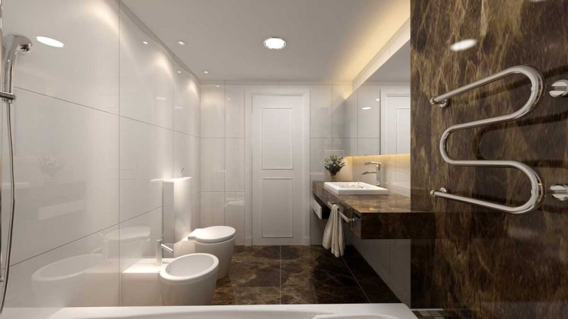 Modern Classic Bath Earth Tones Design Ideas