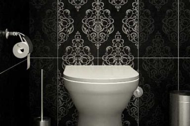 Modern Classic Black and White Tile Toilet Details
