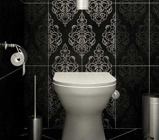 Modern Classic Black and White Tile Toilet Details