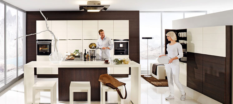 Shining Dark Brown Kitchen Design