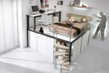 Sporty Bunk Beds and Lofts Design for Kids