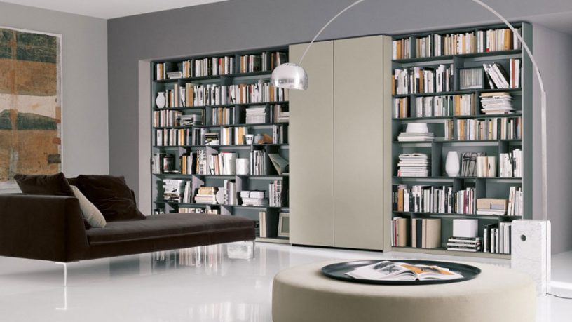 Awesome Home Library Bookshelves with Brown Sofa