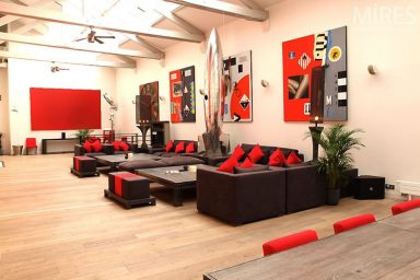 Awesome Loft with Soft Wood Finishes Vibrant Furniture Accents