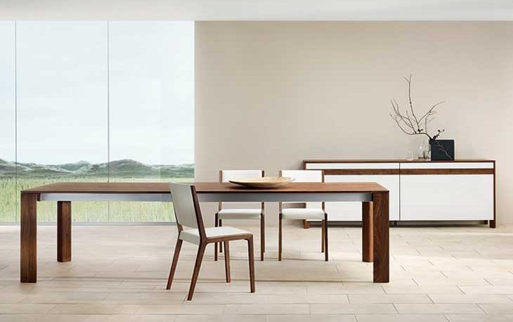 Awesome Modern Home Sustainable Wood Dining Table with Glass Wall
