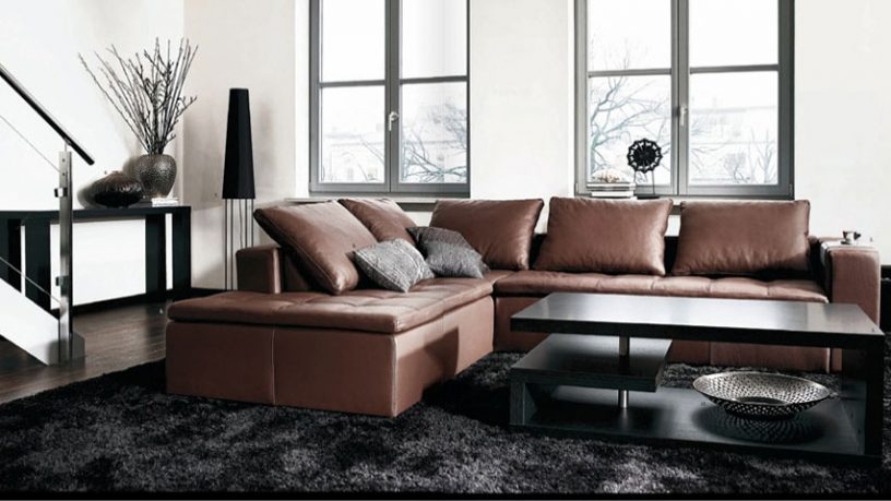 Classy Living Room with Brown Sofas