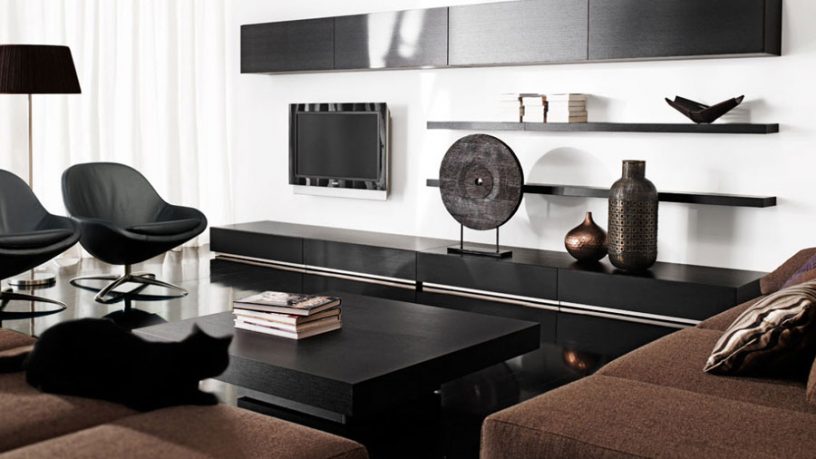 Elegant Black and White Living Room Decorations