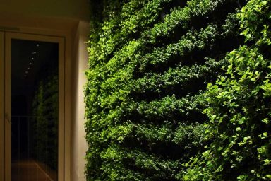 Go Green with Green Wall for Home