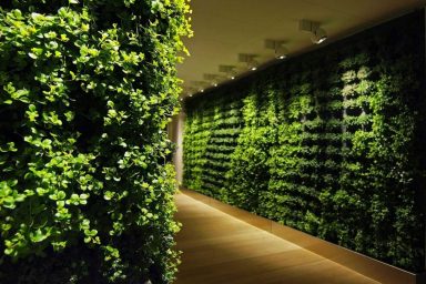 Beautiful Indoors Greenwalls Ideas