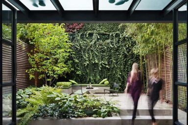 Outdoor Uban Garden in Backyard