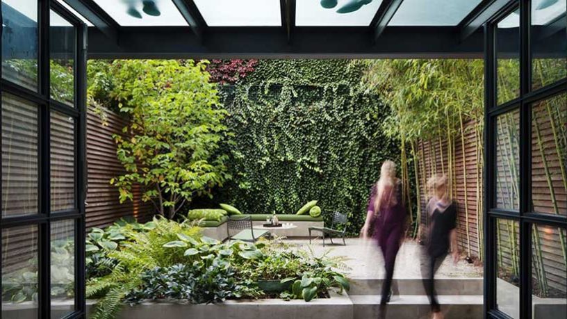 Outdoor Uban Garden in Backyard