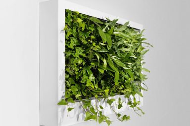 Portable Green Wall Design Ideas