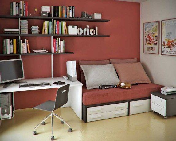 Red Workspaces with Bookcase and Small Bed