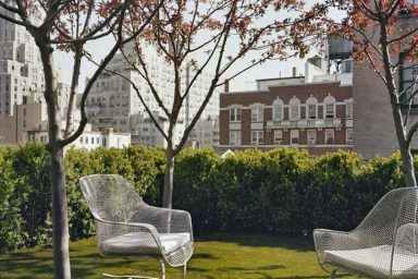 Rooftop Urban Garden Oasis