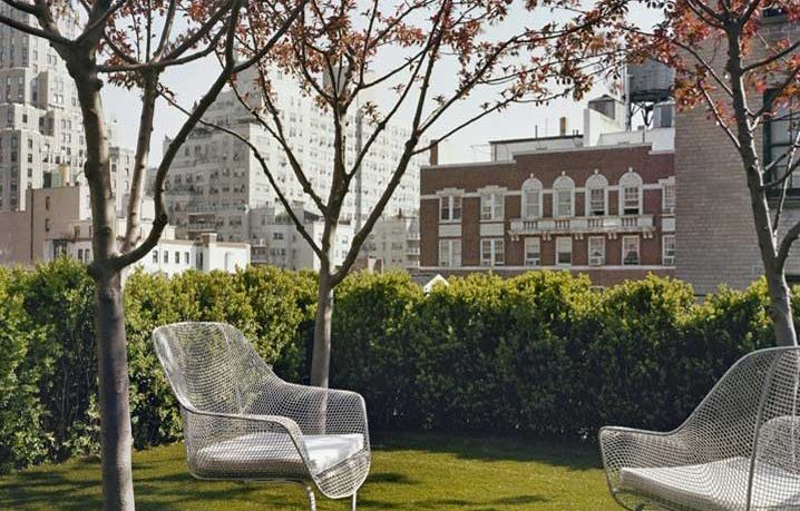 Rooftop Urban Garden Oasis