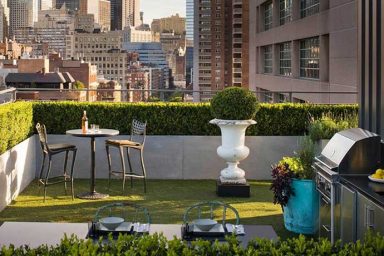 Fresh and Beautiful Urban Gardens