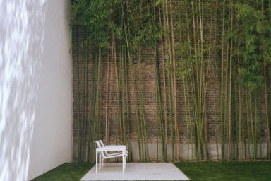 Urban Garden with Bamboo Wall Decoration