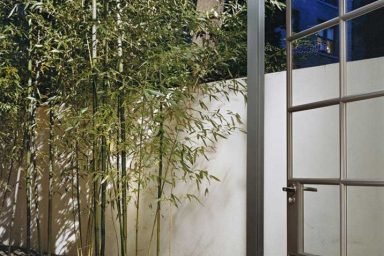 Urban Garden with Tiled floor and Bamboo