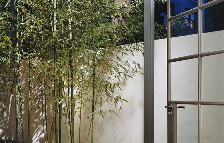 Urban Garden with Tiled floor and Bamboo