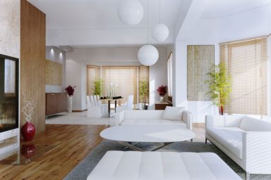 White Living Room Plants with Wooden Floor