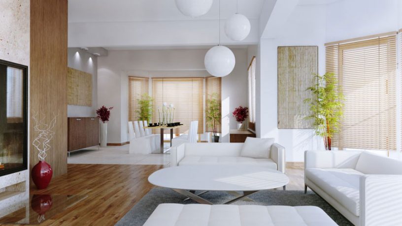 White Living Room Plants with Wooden Floor