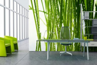 Beautiful Work Room with Fresh Grass Wallpaper Ideas