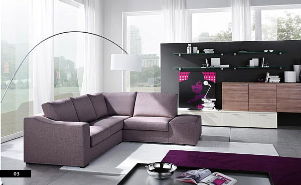 Contemporary Living Room With Sofas Plums Color