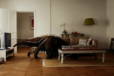 Scandinavian Living Room Style with Wooden Floor and Giant Stuffed