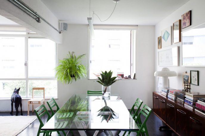 Apartment Natural Light Design Ideas
