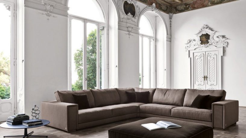 Modern and Minimalist Living Room with Brown Sofas