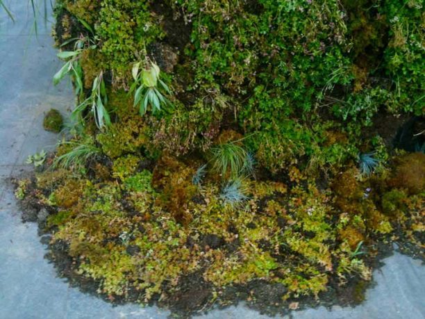 Denver Eco Office Details