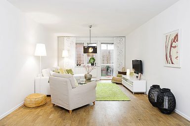 Beautiful White and Black Living Room Apartment