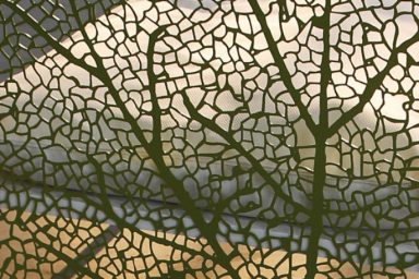 Creative Leaf Seat Back Design Ideas