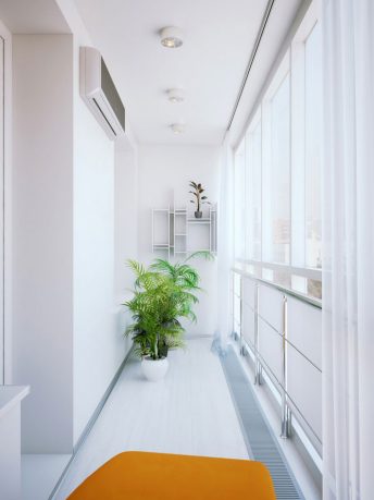 Fresh White Corridor Plant