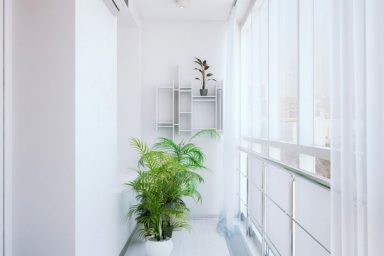 Fresh White Corridor Plant
