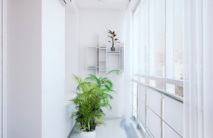 Fresh White Corridor Plant