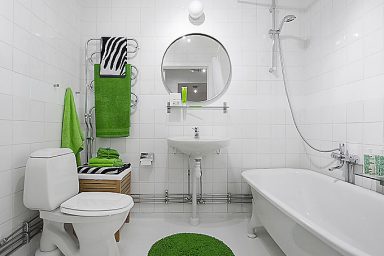Simple Bathroom Apartment with Green Accents