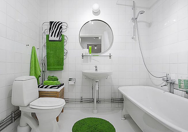Simple Bathroom Apartment with Green Accents