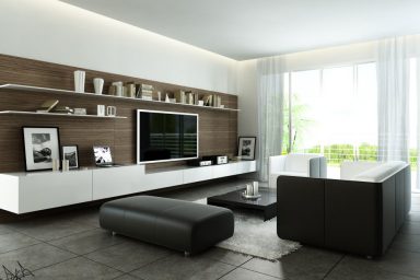 Fancy Modern Style Living Room with Black and White