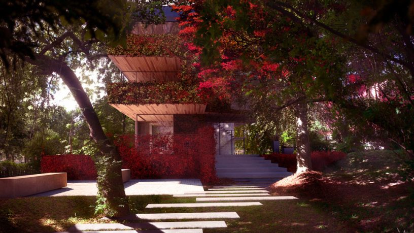 Beautiful Courtyard with Stepping Stones