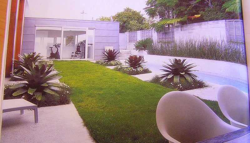 Beautiful Garden Lawn with Green Grass
