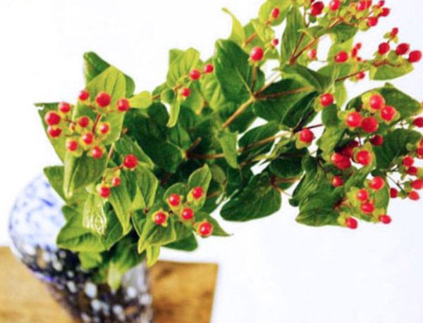 Beautiful Garland for Christmas 2012