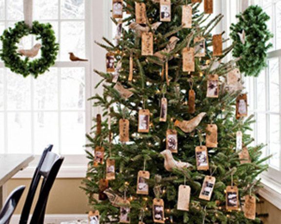 Christmas Trees Decorated Living Room