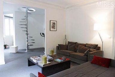 Modern Brown Sofas with Red Pillow