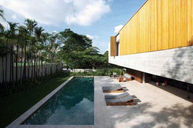 Palm Tree Pool Design Ideas